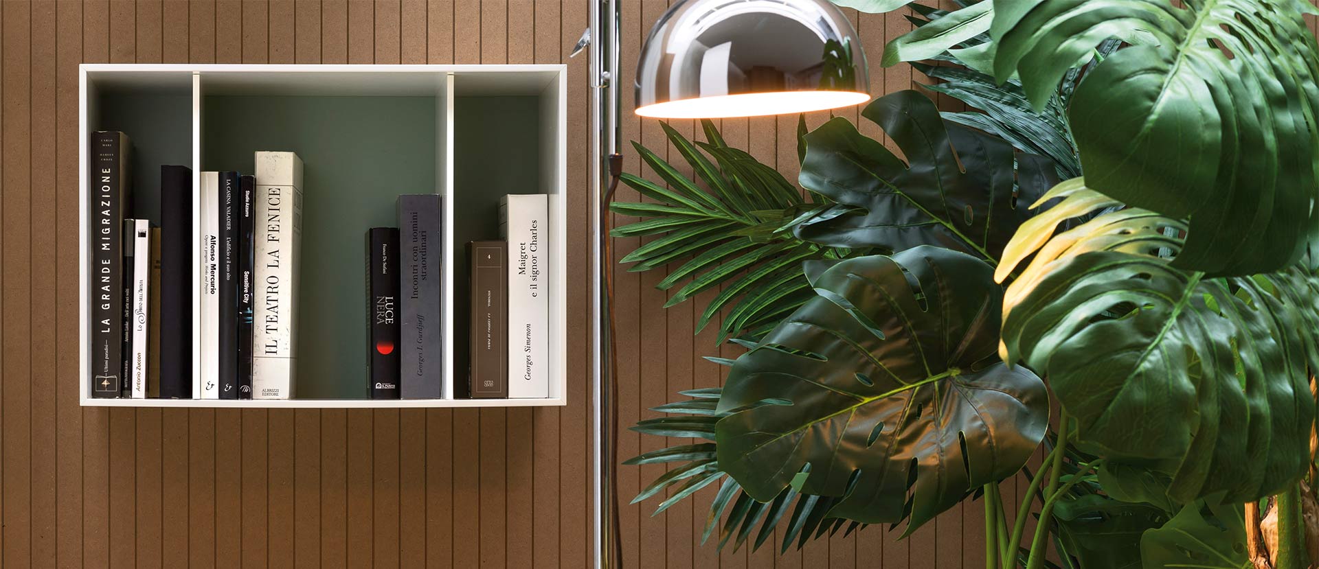 Pianta di tendenza Philodendron Pianta di tendenza Philodendron