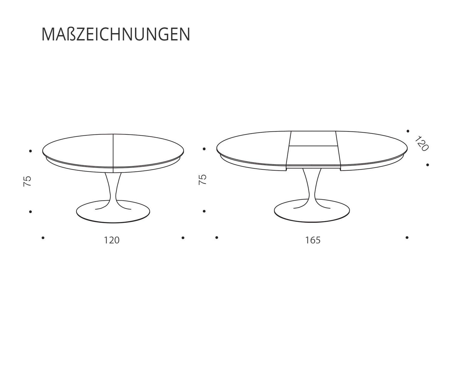 Tavolo da pranzo Eclipse di alta qualità Dimensioni disegno schizzo
