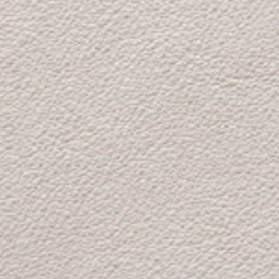 Pelle grigio chiaro cenere