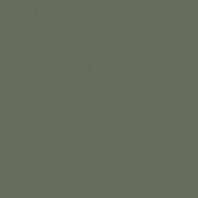Verde opaco - 342 Foglia (simile a RAL6003)