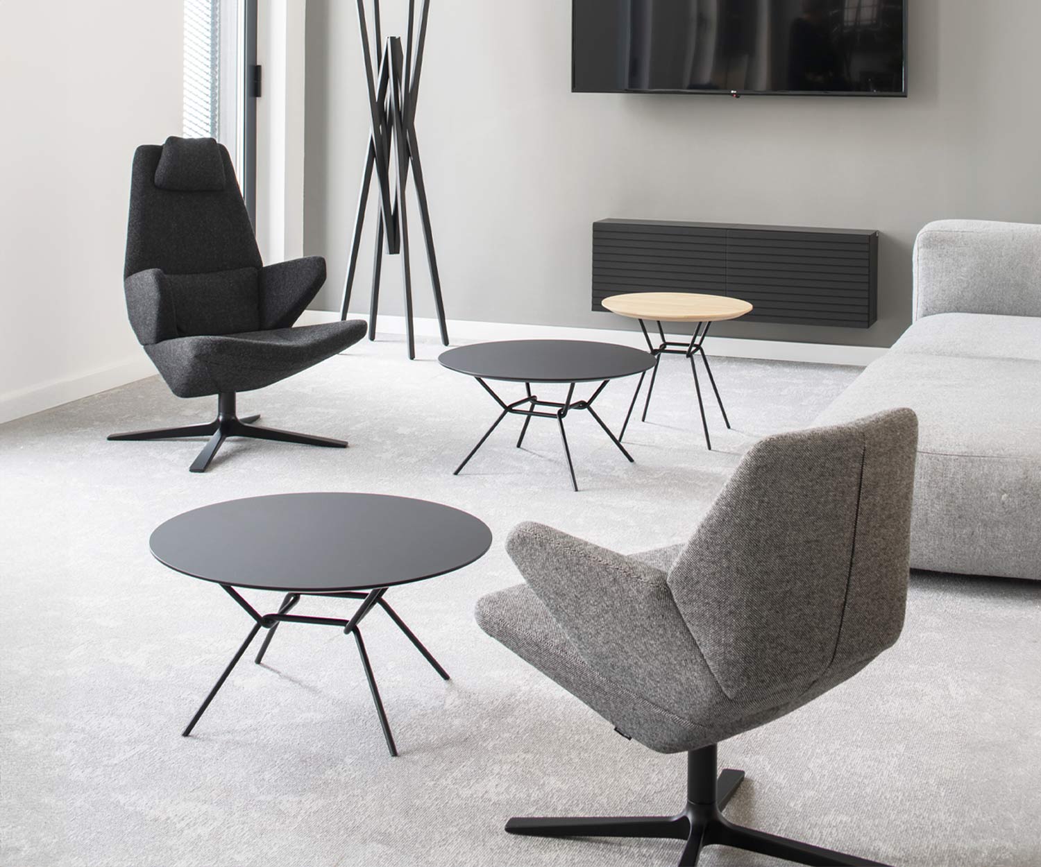 Prostoria Poltrona Trifidae Prostoria Poltrona Trifidae