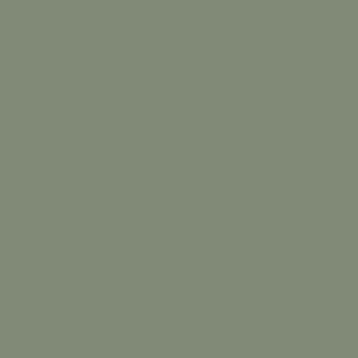 Verde opaco - 342 Foglia (simile a RAL6003)