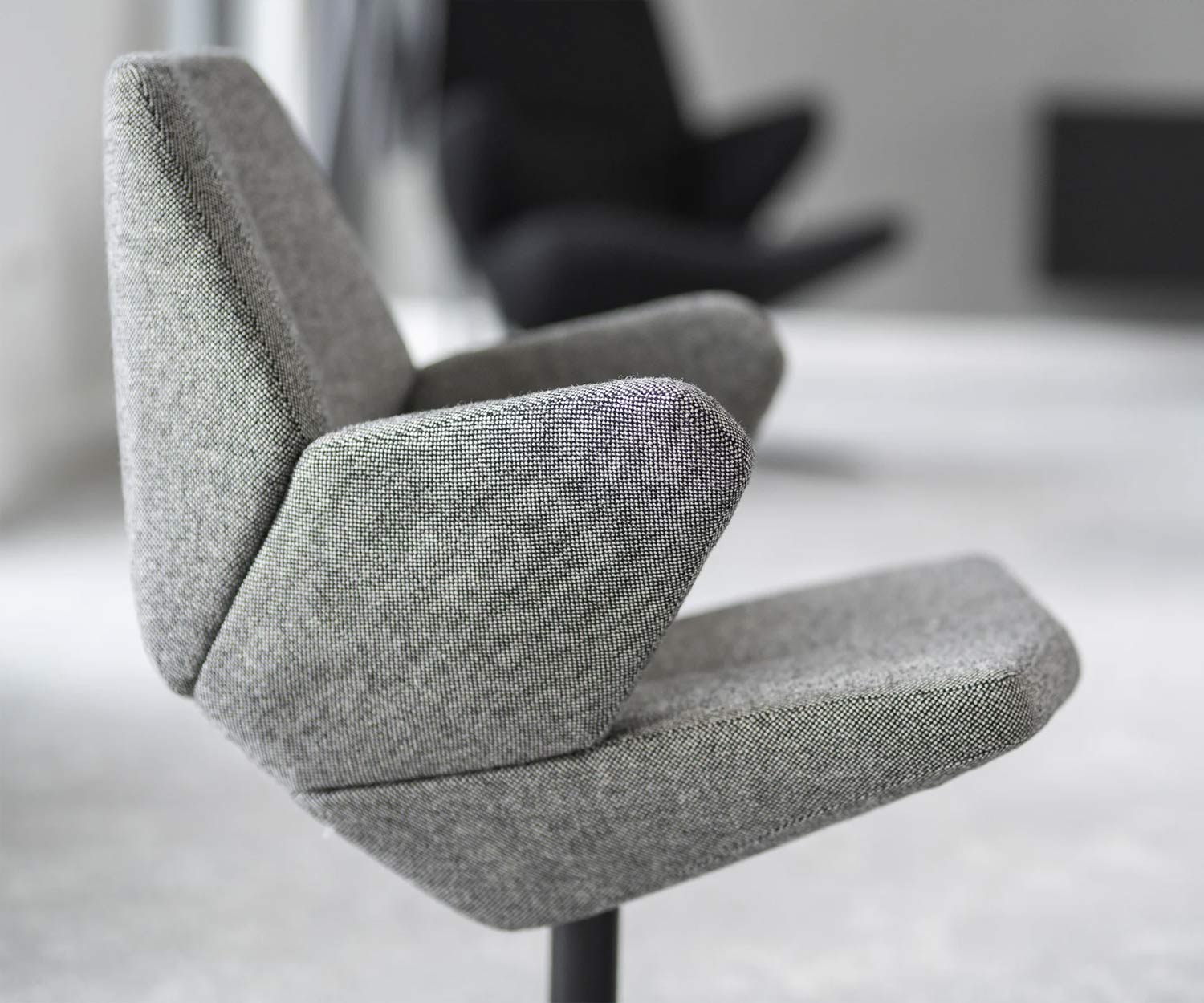 Prostoria Poltrona Trifidae