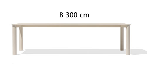 B 300 cm